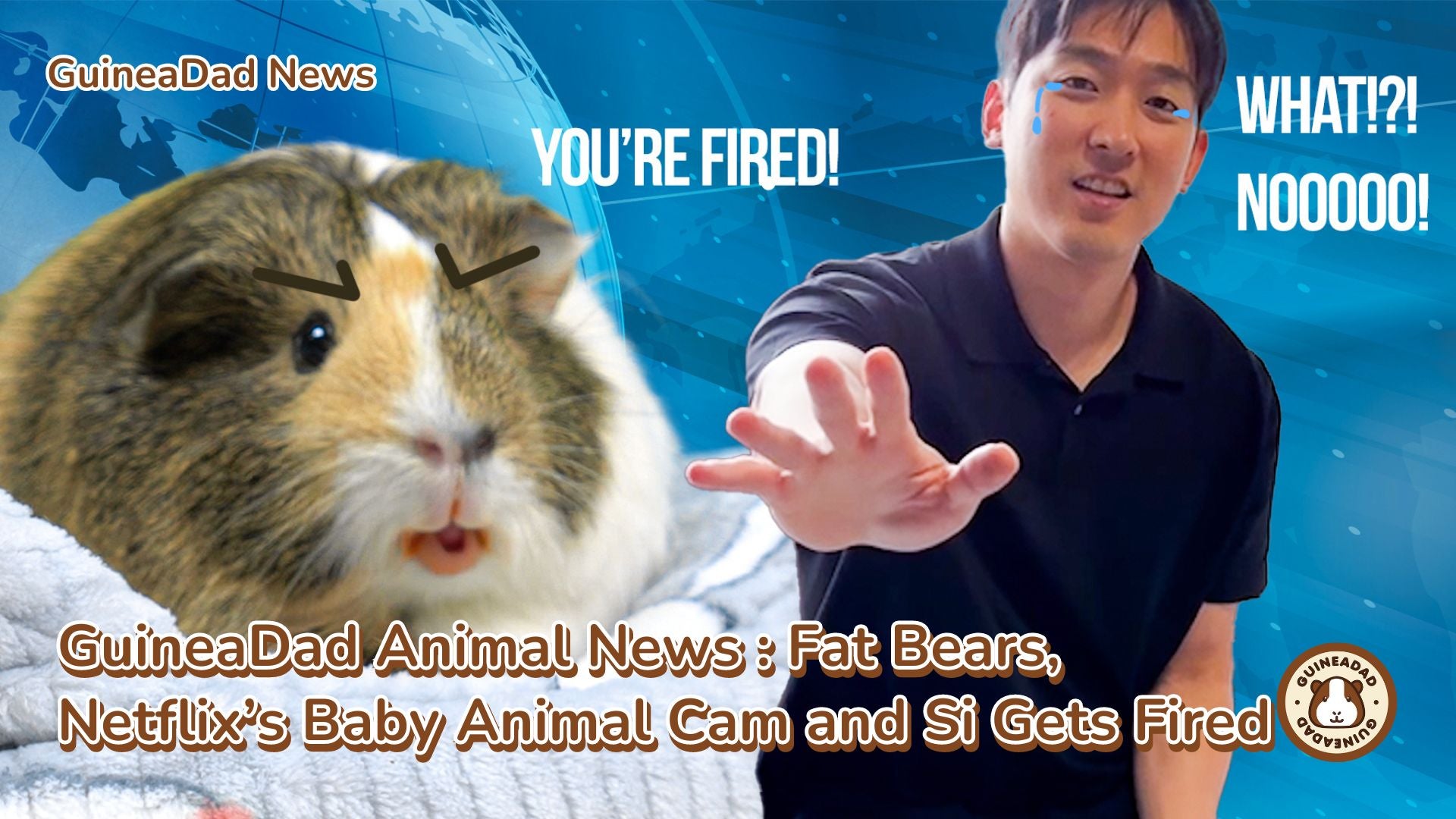 Fat Bears, Netflix’s Baby Animal Cam, & More! Fat Bears, Netflix’s Baby Animal Cam, & More!