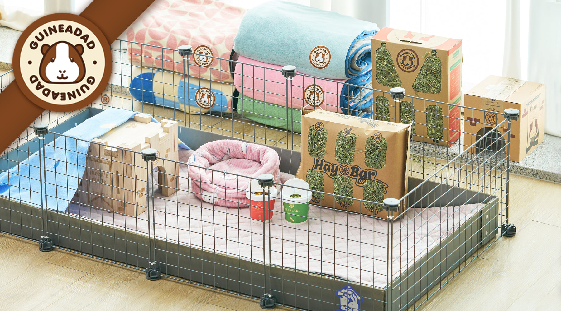 Guinea Pig Cage Essentials: Complete Setup Guide Guinea Pig Cage Essentials: Complete Setup Guide