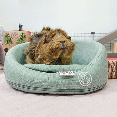 GuineaDad Comfy Couch Memory Foam Sofa
