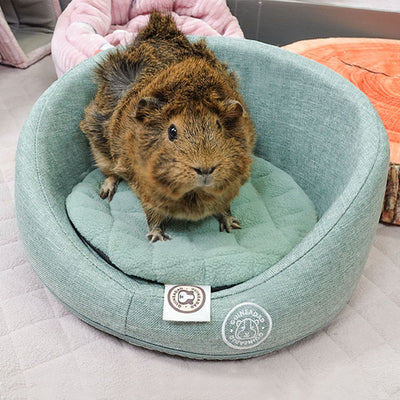 GuineaDad Comfy Couch Memory Foam Sofa