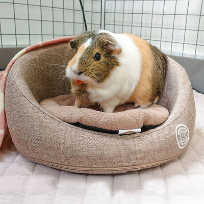 GuineaDad Comfy Couch Memory Foam Sofa