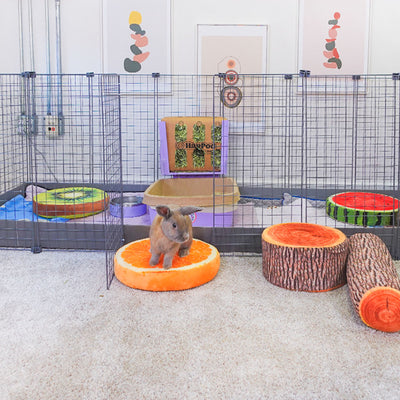 BunnyDad Bunny Condo Rabbit Cage (C&C)
