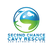 Second Chance Cavy Rescue