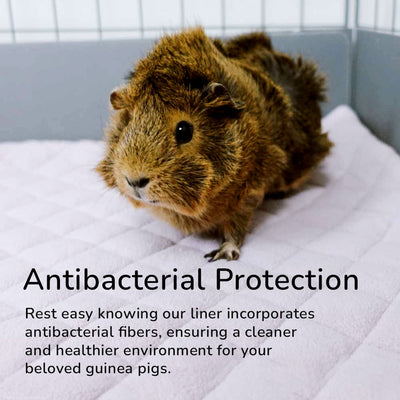 GuineaDad Premium Liner For Small Animal Cages (No Pocket)