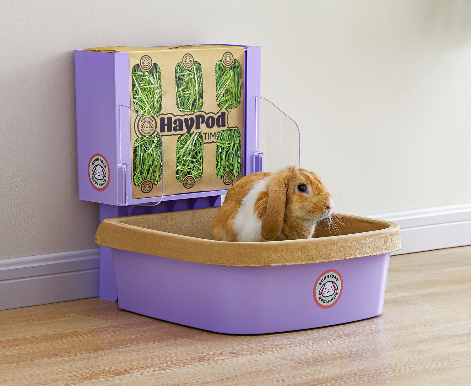 GuineaDad