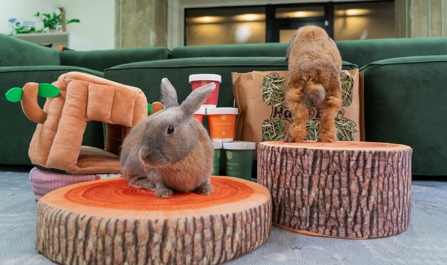 Hay & Treats