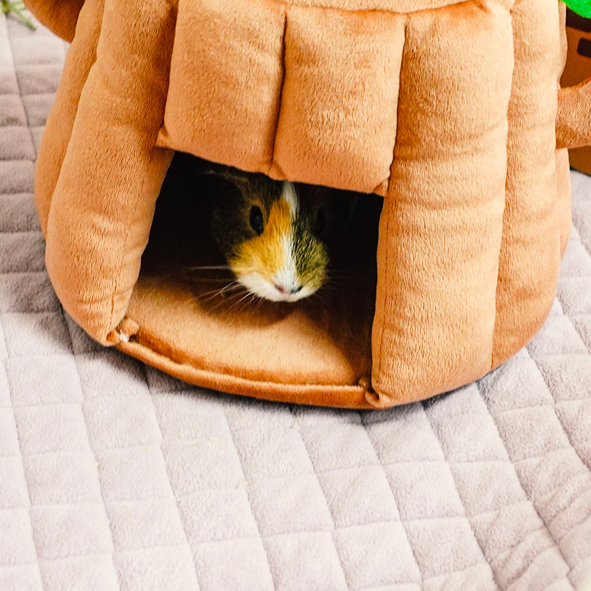 BunnyDad Tree Stump Hidey for Rabbits
