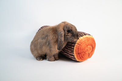 BunnyDad Tree Stump and Log Cushions
