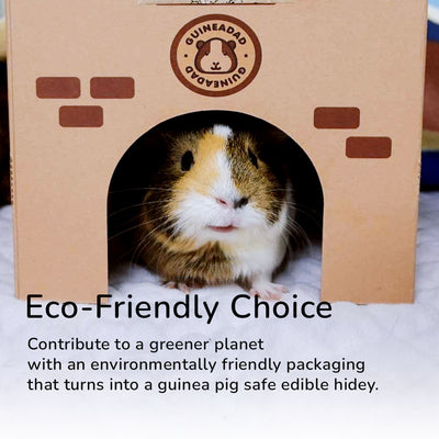 GuineaDad Premium Liner For Small Animal Cages (No Pocket)