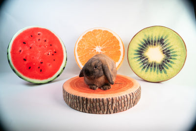 BunnyDad Tree Stump and Log Cushions