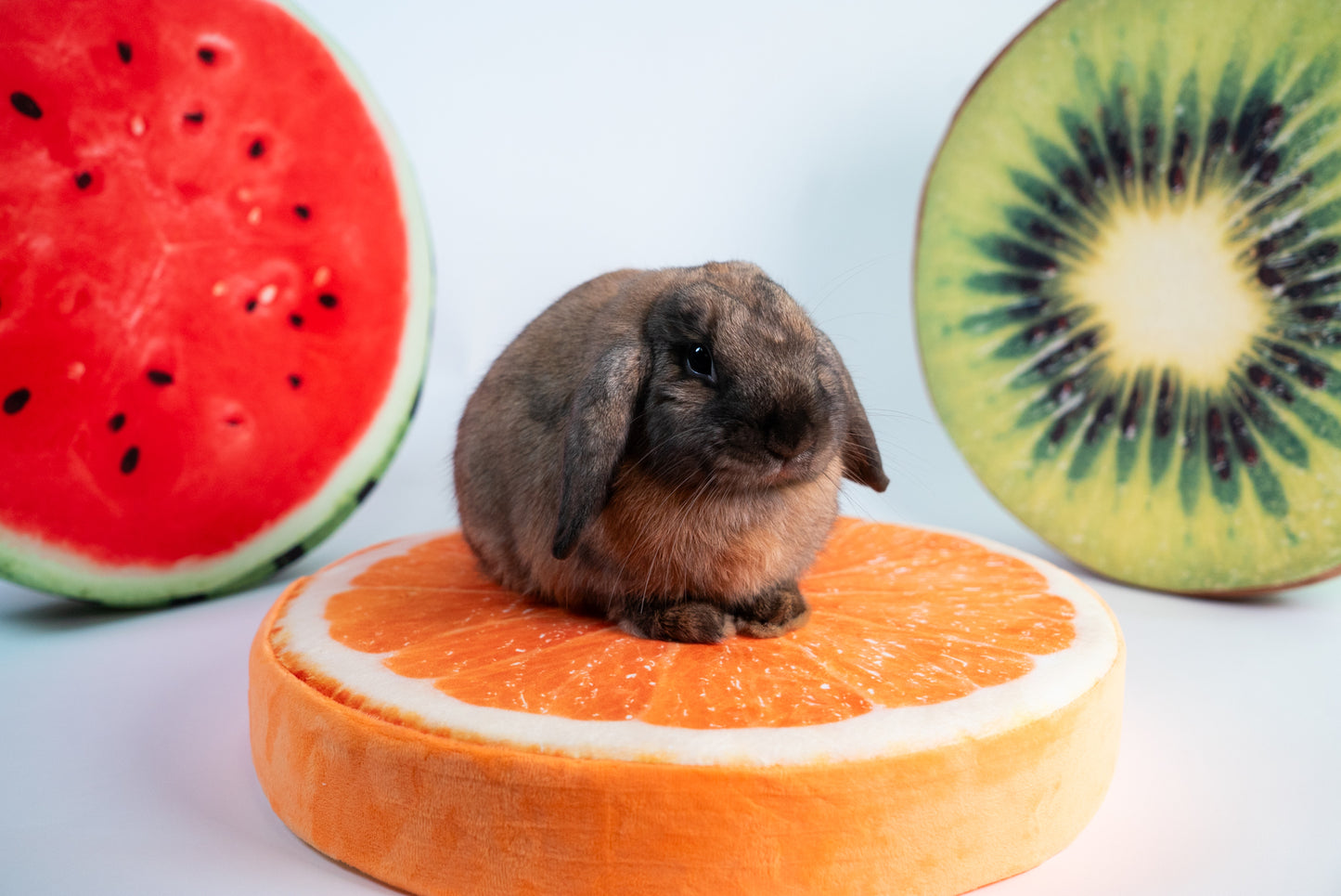 BunnyDad Fruit Cushion