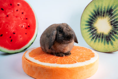 BunnyDad Fruit Cushion