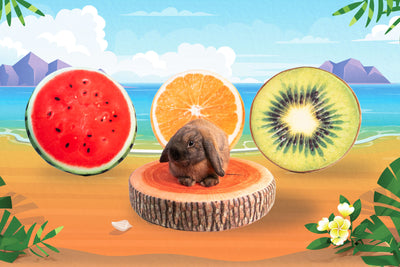 BunnyDad Fruit Cushion