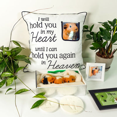 Guinea Dad Memorial Cushion - Forever in My Heart Series