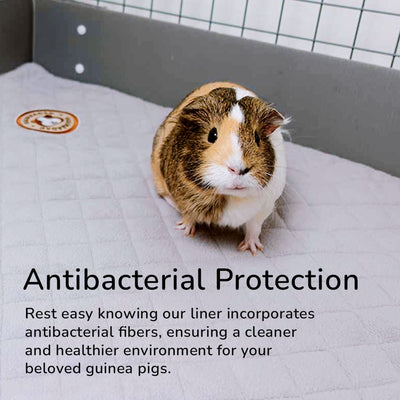 GuineaDad Original Liner For Small Animal Cages