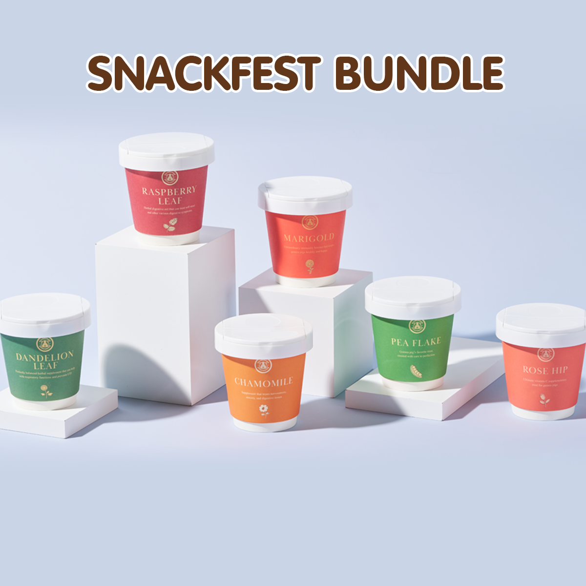 SnackFest Bundle
