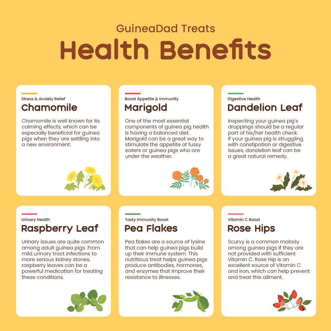 GuineaDad Yummy Treat Sampler (6 Flavors / 100% All Natural)