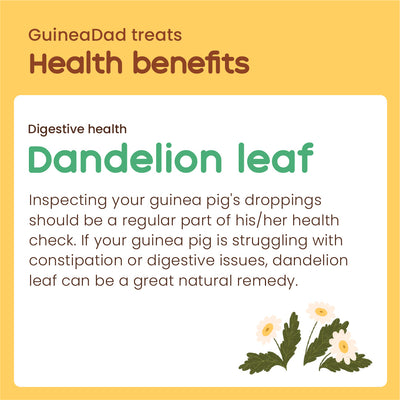 GuineaDad Dandelion Leaf Treat Cups (100% All Natural)