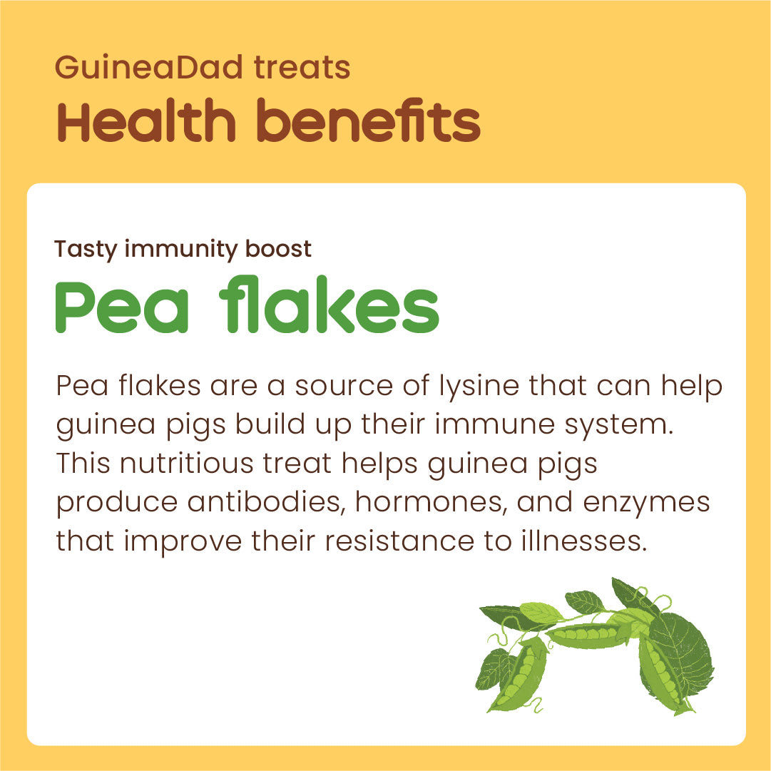 GuineaDad Pea Flakes Treat Cups (100% All Natural)
