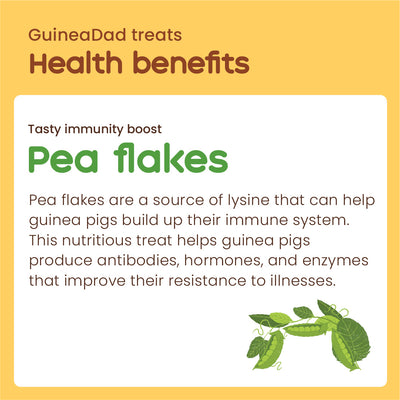 GuineaDad Pea Flakes Treat Cups (100% All Natural)