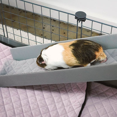 GuineaDad Piggy Condo Guinea Pig Cage with Balcony & Ramp (C&C)