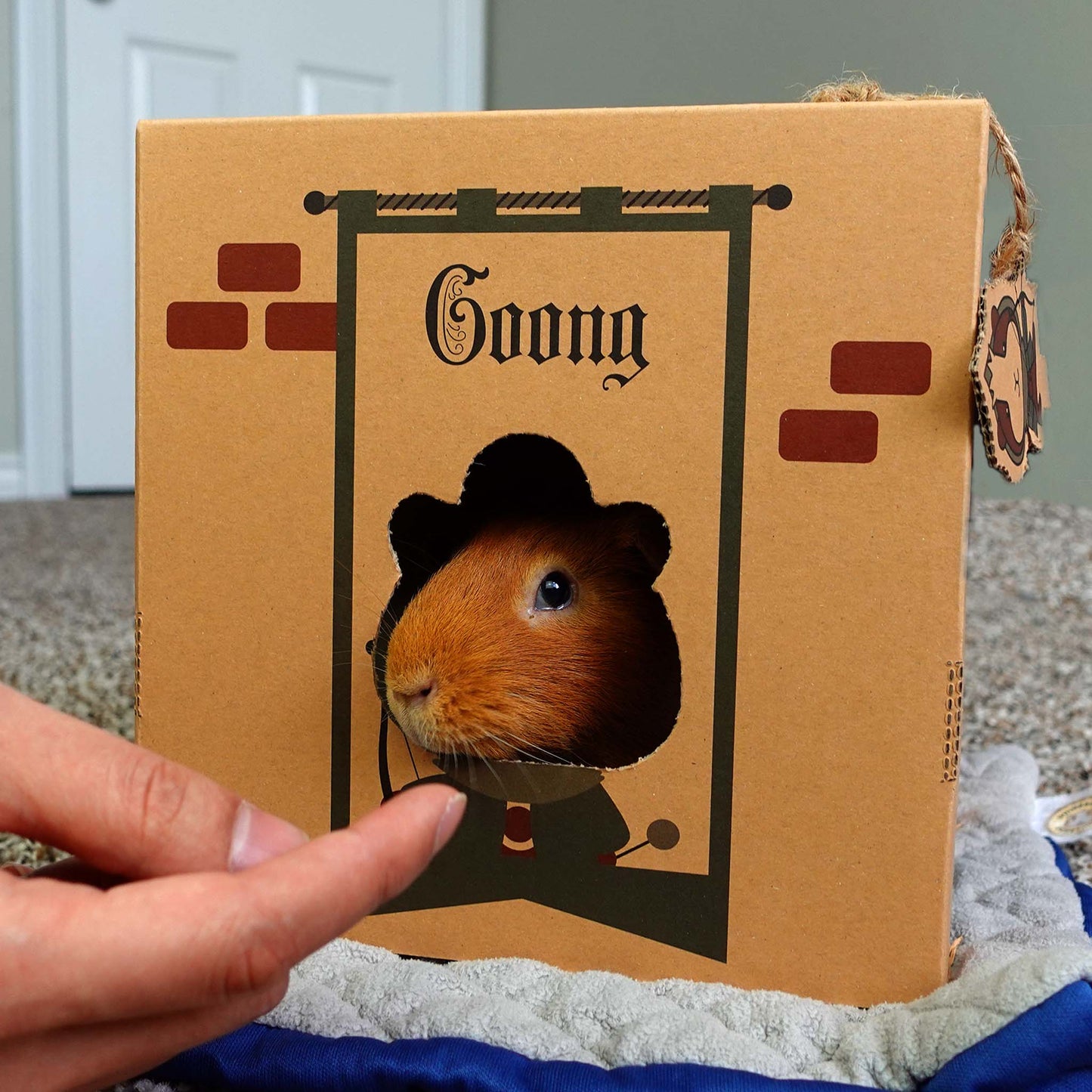 GuineaDad Crunchy Condo Cardboard Hideout (3 Pack)