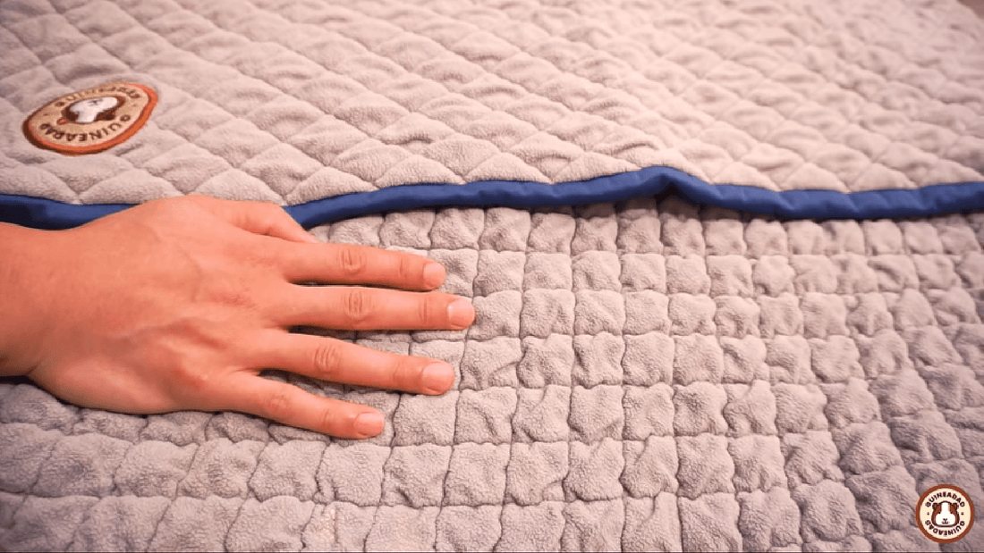 how to take care of guinea pig fleece bedding