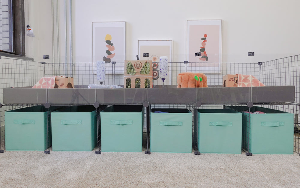 GuineaDad Piggy Condo Cages are Back in Stock