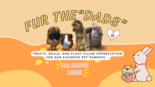 June is DadMonth - GuineaDad Celebrates Dedicated Pet Parents Worldwide.