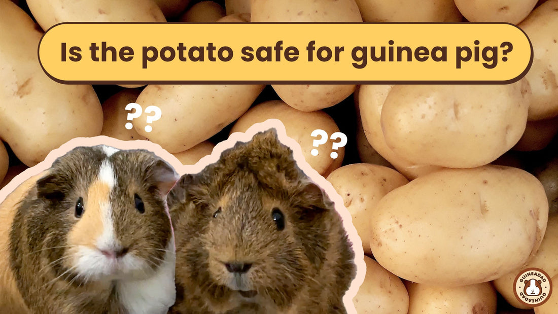 What potatoes are made of and why they are risky