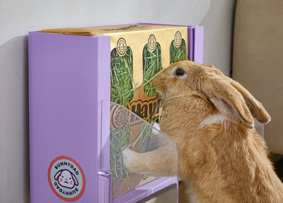 BunnyDad BunnyLet Rabbit Litter Box + Hay Feeder System
