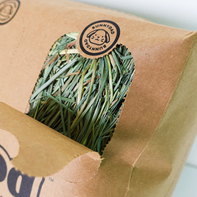 Close-up shot of an opened Hay Pod on a white background, highlighting the detailed view of the partially opened section. The image depicts the intricate closure mechanism of the Hay Pod, showcasing the process of securing it. Inside the opened Hay Pod, vibrant green fresh hay is visible, with the BunnyDad logo prominently displayed on top.