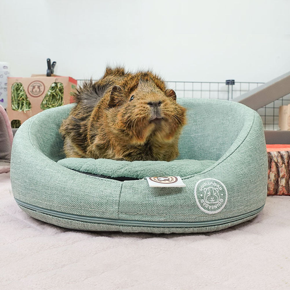 GuineaDad Comfy Couch Memory Foam Sofa