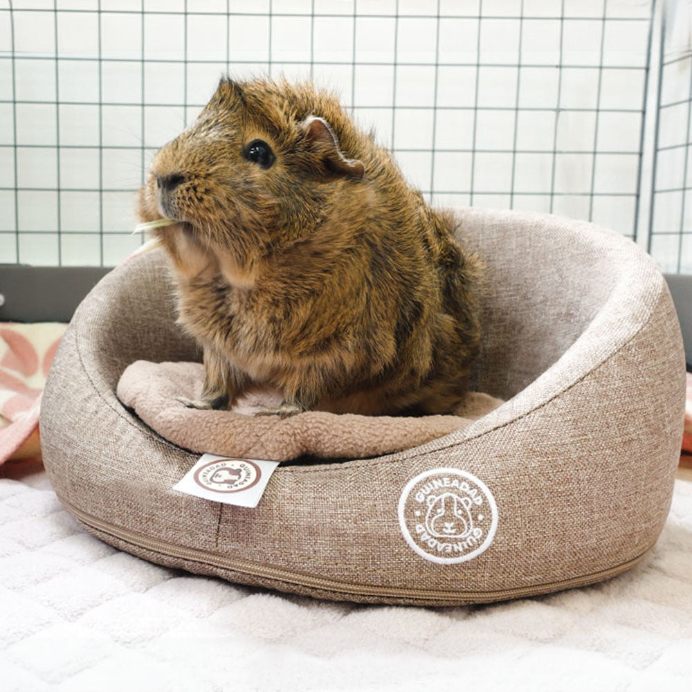 GuineaDad Comfy Couch Memory Foam Sofa