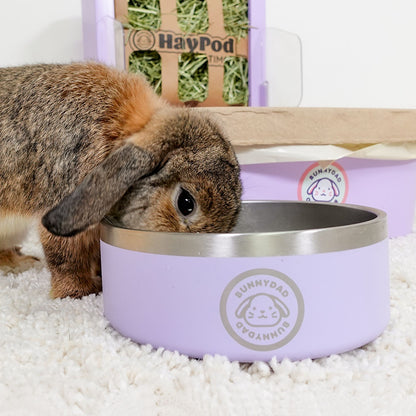 Pet Bowl Rabbit Feeding Bowls 10pcs/5pcs/2pcs/1pc Stainless Steel