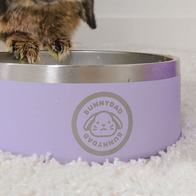 BunnyDad Big-Sipper Rabbit Water Bowl