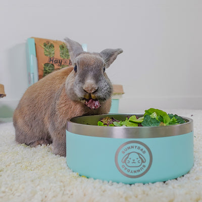 BunnyDad Big-Sipper Rabbit Water Bowl