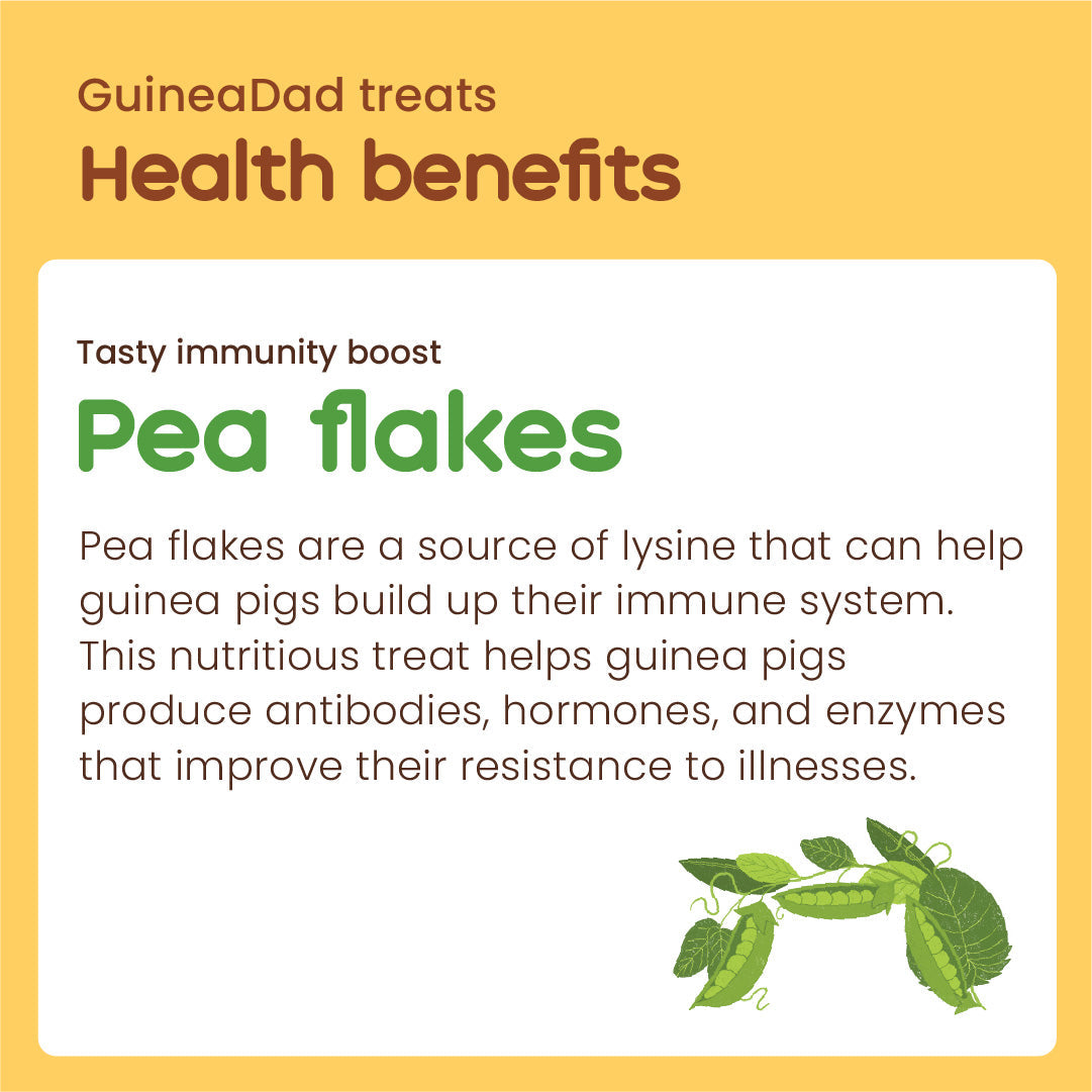 Subscription - GuineaDad Pea Flakes Treat Cups (100% All Natural)