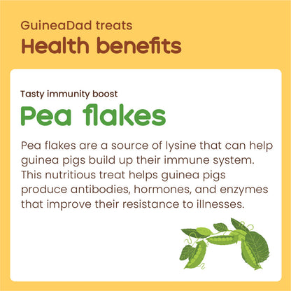 Subscription - GuineaDad Pea Flakes Treat Cups (100% All Natural)