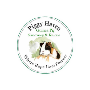 Piggy Haven