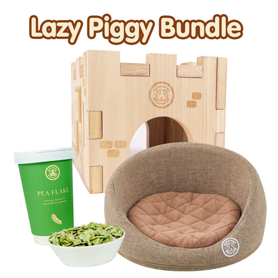 Lazy Piggy Bundle