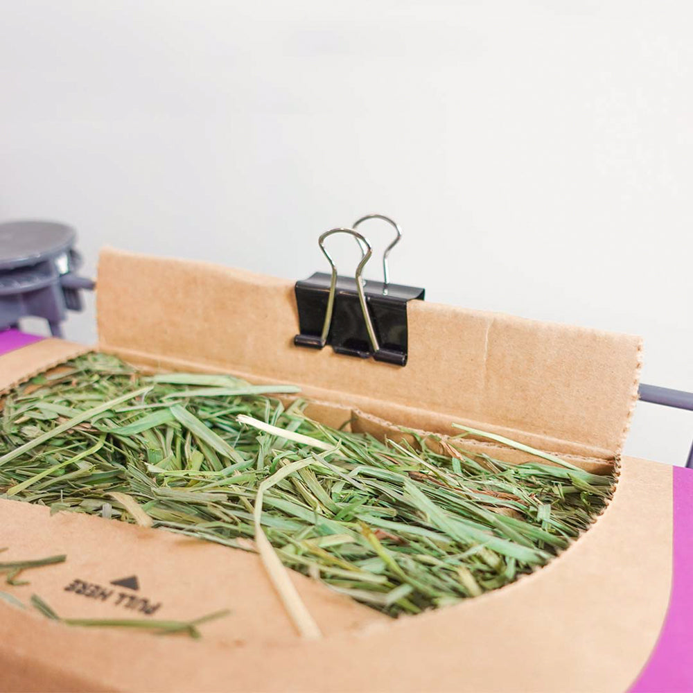 Orchard Hay for Rabbits - BunnyDad's Bunny Hay Box – GuineaDad