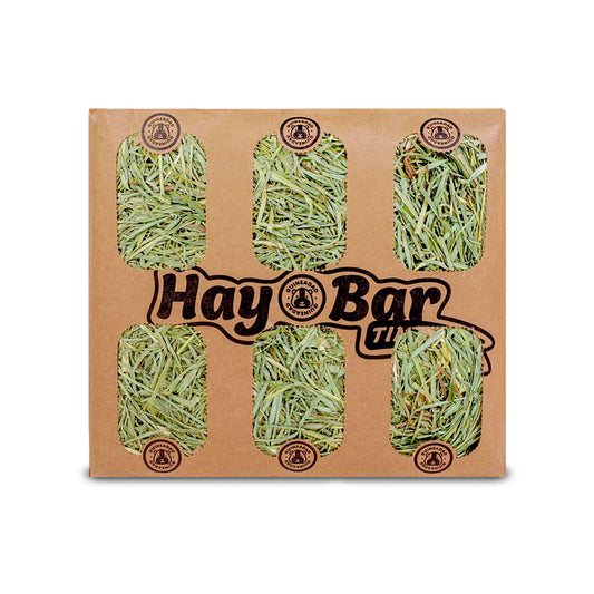 GuineaDad Timothy Hay Bar for Guinea Pigs (5 Pack)