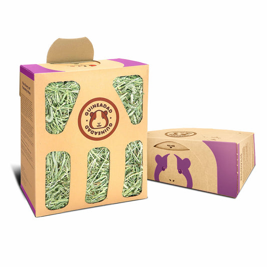 GuineaDad Orchard Hay Box for Guinea Pigs, Rabbits, and Chinchillas