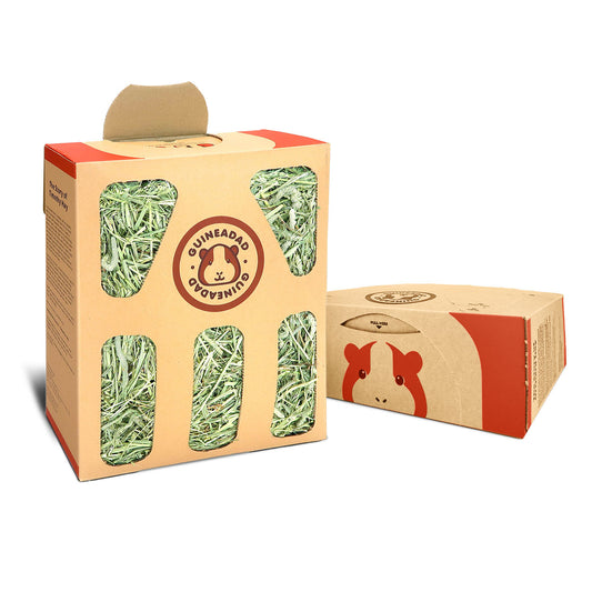 GuineaDad Timothy Hay Box for Guinea Pigs