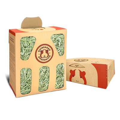 GuineaDad Timothy Hay Box for Guinea Pigs