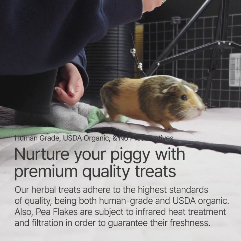 GuineaDad Yummy Treat Sampler (6 Flavors / 100% All Natural)