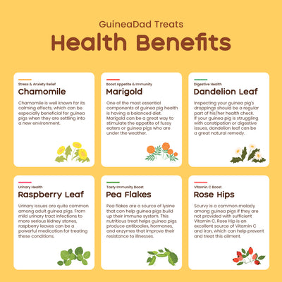 GuineaDad Yummy Treat Sampler (6 Flavors / 100% All Natural)