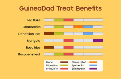 GuineaDad Marigold Treat Cups (100% All Natural)