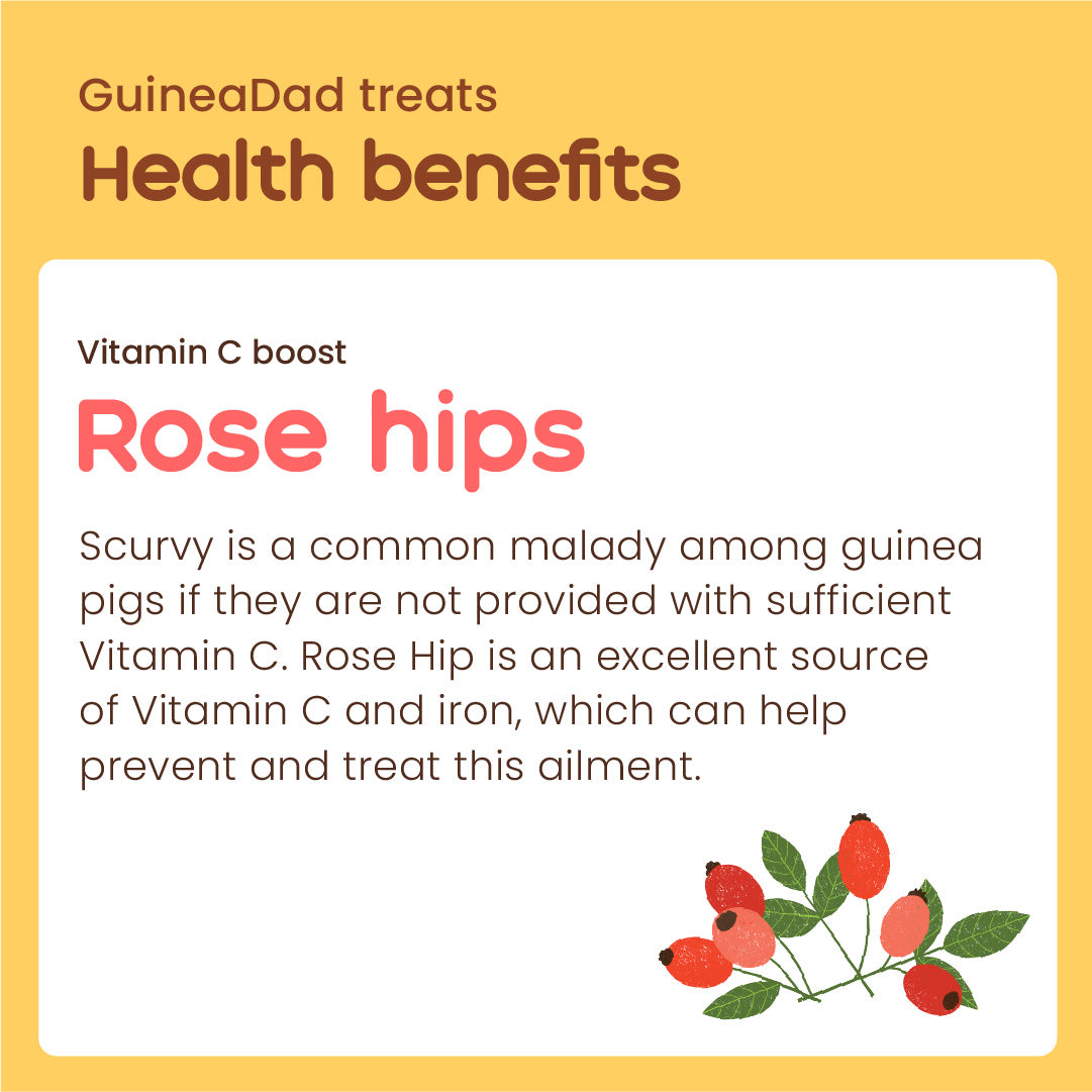 GuineaDad Rose Hip Treat Cups (100% All Natural)